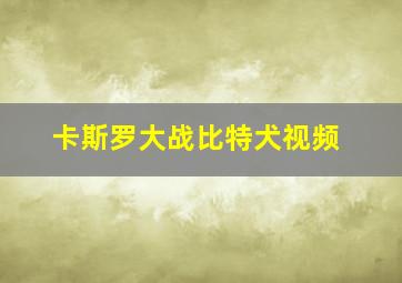 卡斯罗大战比特犬视频