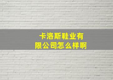 卡洛斯鞋业有限公司怎么样啊