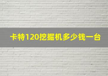 卡特120挖掘机多少钱一台