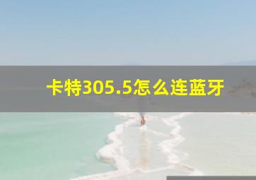 卡特305.5怎么连蓝牙