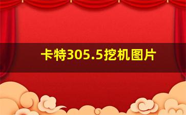 卡特305.5挖机图片