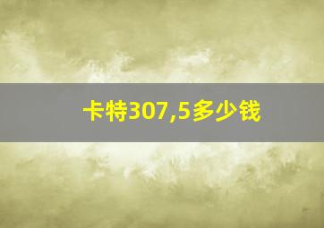 卡特307,5多少钱