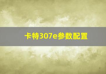 卡特307e参数配置