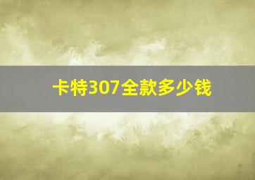 卡特307全款多少钱