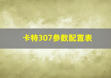 卡特307参数配置表