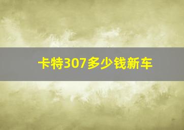 卡特307多少钱新车