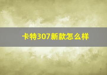 卡特307新款怎么样