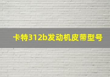 卡特312b发动机皮带型号