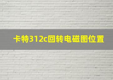 卡特312c回转电磁图位置