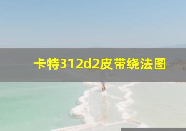 卡特312d2皮带绕法图