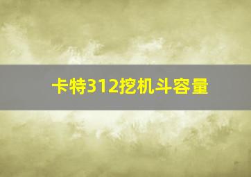 卡特312挖机斗容量