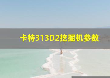 卡特313D2挖掘机参数