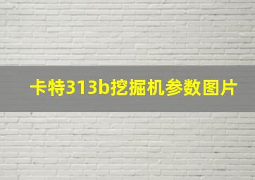 卡特313b挖掘机参数图片