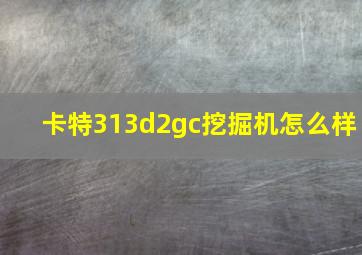 卡特313d2gc挖掘机怎么样