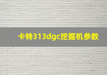 卡特313dgc挖掘机参数