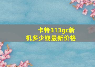 卡特313gc新机多少钱最新价格