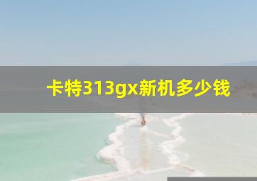 卡特313gx新机多少钱