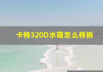 卡特320D水箱怎么样拆