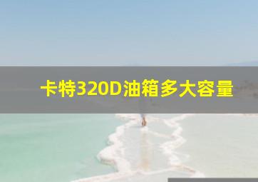 卡特320D油箱多大容量