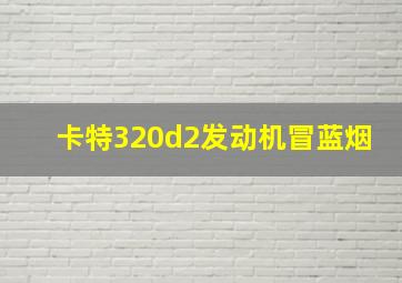 卡特320d2发动机冒蓝烟