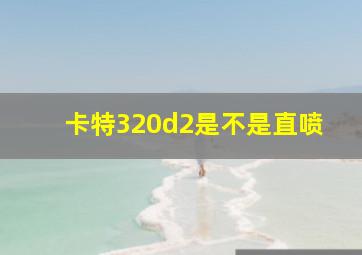 卡特320d2是不是直喷