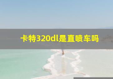 卡特320dl是直喷车吗