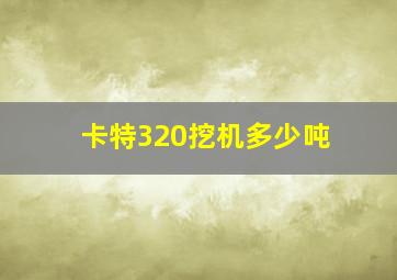 卡特320挖机多少吨