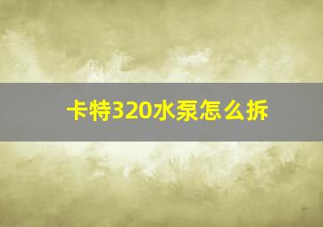 卡特320水泵怎么拆