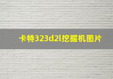 卡特323d2l挖掘机图片