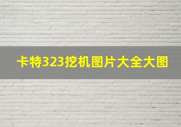 卡特323挖机图片大全大图