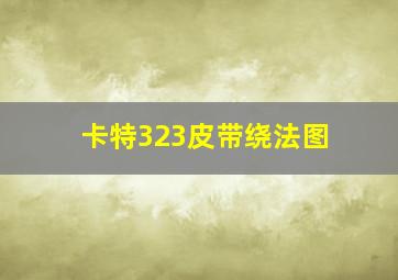 卡特323皮带绕法图