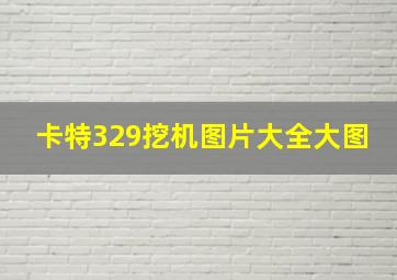 卡特329挖机图片大全大图