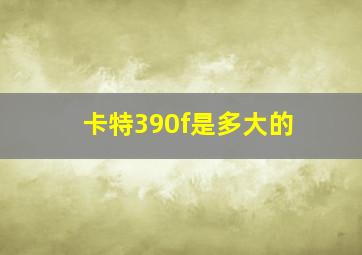 卡特390f是多大的