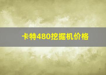 卡特480挖掘机价格