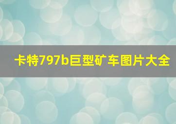 卡特797b巨型矿车图片大全