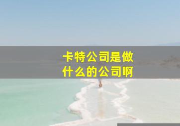 卡特公司是做什么的公司啊