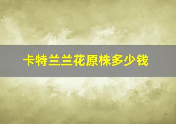 卡特兰兰花原株多少钱