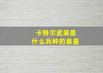 卡特尔武装是什么兵种的装备