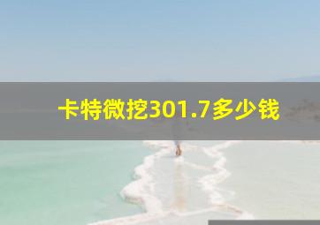 卡特微挖301.7多少钱