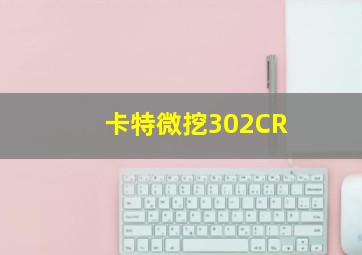 卡特微挖302CR