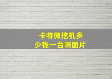 卡特微挖机多少钱一台啊图片