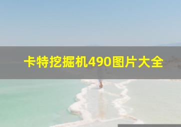 卡特挖掘机490图片大全