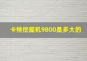 卡特挖掘机9800是多大的