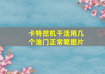 卡特挖机干活用几个油门正常呢图片