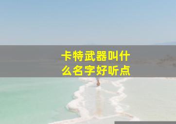 卡特武器叫什么名字好听点