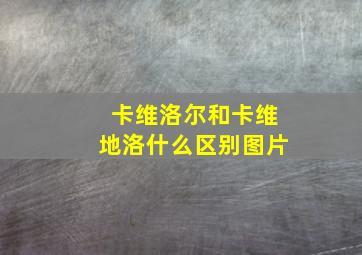 卡维洛尔和卡维地洛什么区别图片