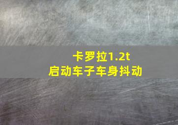 卡罗拉1.2t启动车子车身抖动