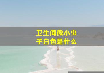 卫生间微小虫子白色是什么