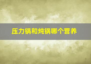 压力锅和炖锅哪个营养