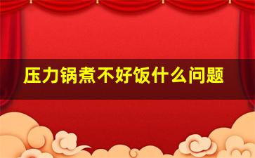 压力锅煮不好饭什么问题